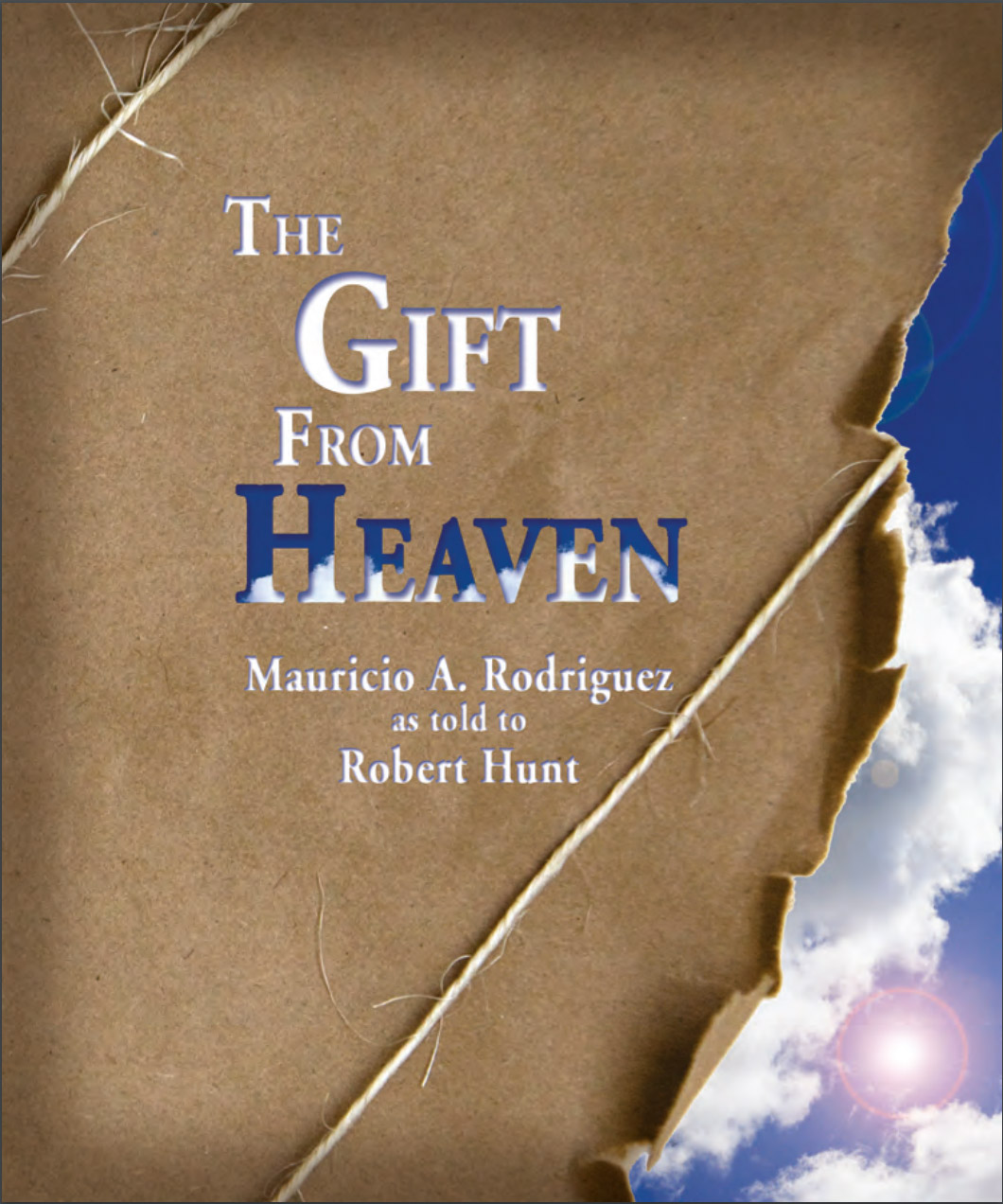 visits from heaven book