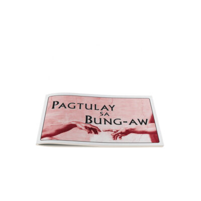 Bridging the Gap-Cebuano