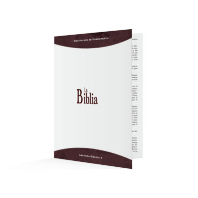 The Bible-Spanish